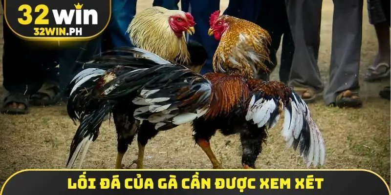 Soi Kèo Đá Gà - 4 Bí Kíp Bắt Độ Bách Chiến Bách Thắng Lối đá của gà cần được xem xét