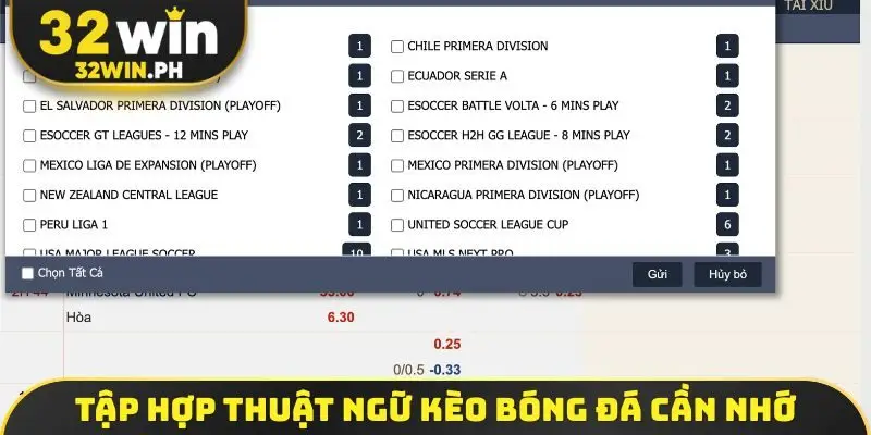 Kèo Bóng Đá - Cách Đọc Và Tính Tiền 3 Loại Kèo Chính Xác Tập hợp thuật ngữ kèo bóng đá cần nhớ